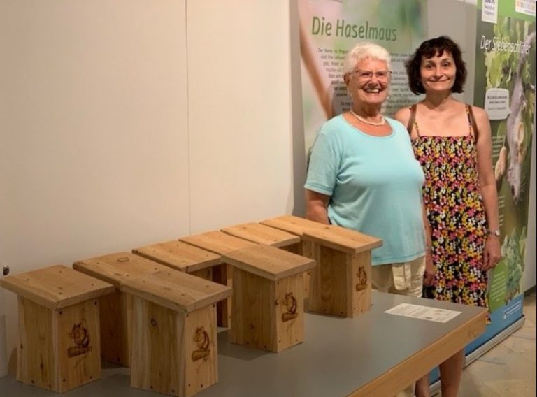 Nistkästen für Gartenschläfer und Co. für Ihren Garten